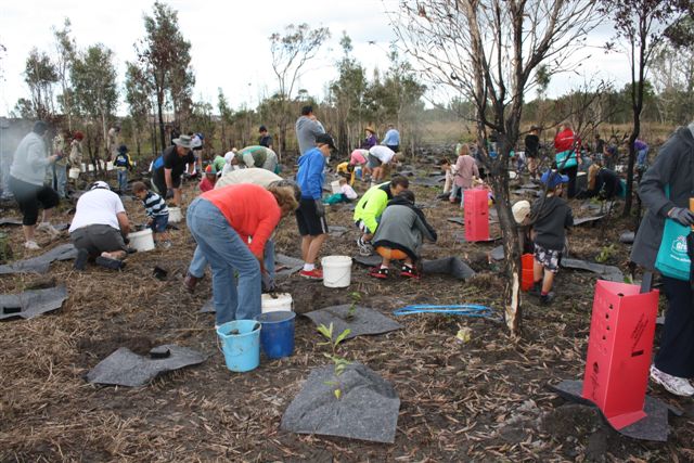 Image of tree planting froup