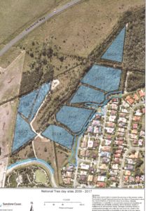 Aerial photo showing plantings by year.