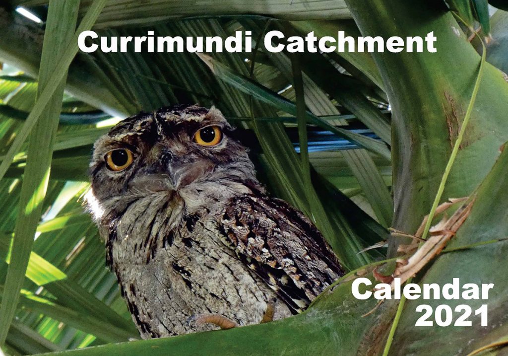 Currimundi Calendar 2021