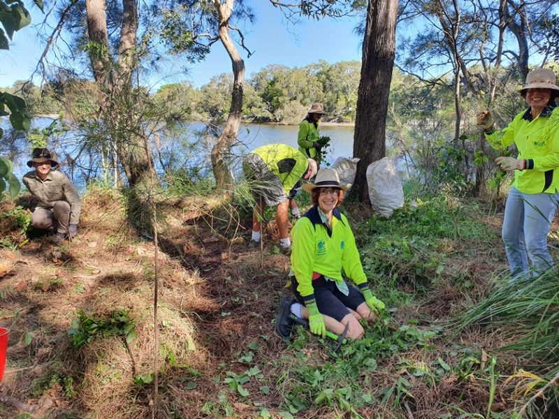 Working bees (monthly) - Currimundi Catchment Care Group